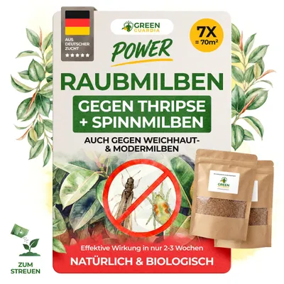Produktbild von Power Raubmilben Mix gegen Thripse und Spinnmilben -7x Tüten für 70m²- effektiven Thripse & Spinnmilben Bekämpfung. Zimmerpflanzen, Cannabis uvm.