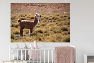 Produktbild von MuchoWow® - Selbstklebend - Fototapeten