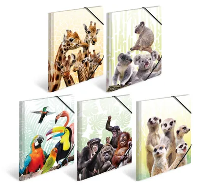 Produktbild von Herma Sammelmappe Eckspanner PP A4 Exotische Tiere 10er-Sortierung