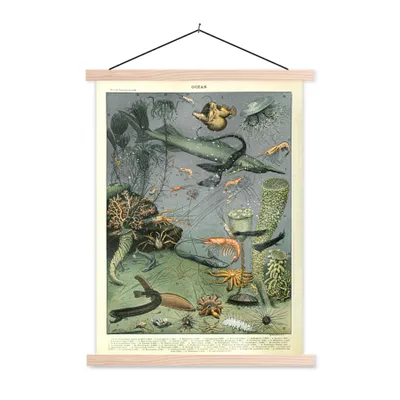 Produktbild von MuchoWow® Textilposter Meer - Korallen - Natur 120x160 cm mit holzfarbenen Rahmen - Plakatkarton