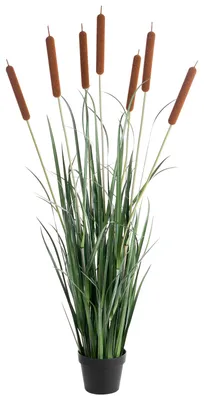 Produktbild von BELIANI Kunstpflanze Grün aus Kunststoff 135 cm Rohrkolben Handgefertigt Indoor Künstliche Pflanze Wohnaccessoires Dekoration