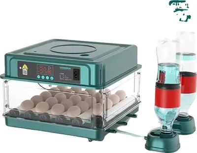 Image de Incubateur d'œufs, contrôle automatique de la température, capacité multiple, couleur verte