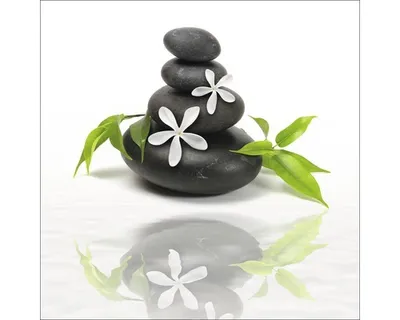 Produktbild von Glasbild Essence Of Life I 30x30 cm