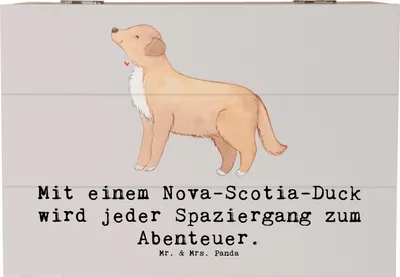 Produktbild von Mr. & Mrs. Panda Box Nova Scotia Duck Abenteuer 22 x 15 cm - Grau Pastell - Geschenk, Holz Aufbewahrungsbox, Hunderassen Beschreibung, unvergessliche Erlebnisse, fotobox
