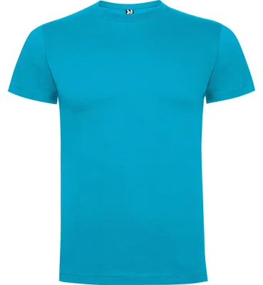 Image de Roly - T-shirt « Dogo Premium » pour homme LT6128 (3XL) (turquoise)