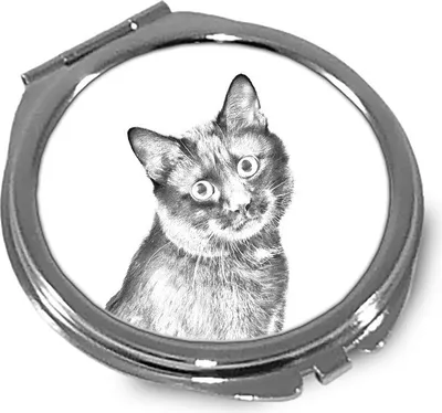 Productafbeelding van Art-Dog Zakspiegel – Koerilen bobtail