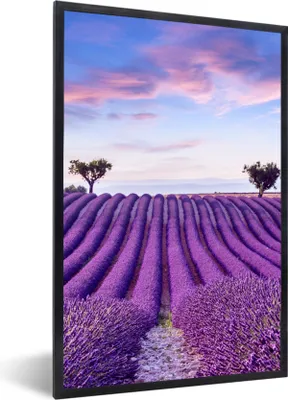 Produktbild von MuchoWow® Gerahmtes Poster Lavendel - Natur - Lila - Bäume - Blumen 60x90 cm - Poster mit Schwarzem Bilderrahmen Wandposter Rahmen Foto Bilder - Kunst