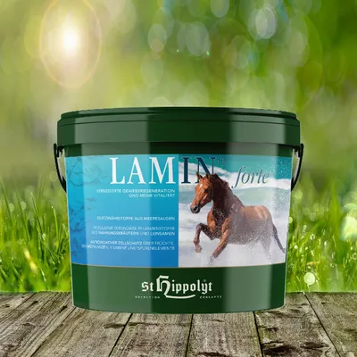 Immagine prodotto di St. Hippolyt Lamin Forte | 3 kg