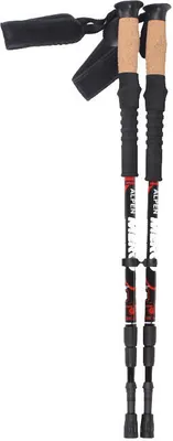 Produktbild von Alpen-Trekkingstöcke, 1 Paar