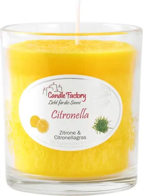 Produktbild von Candle Factory Party Light Kerze Citronella Raumduft Duftkerze Zitronengras 201-033