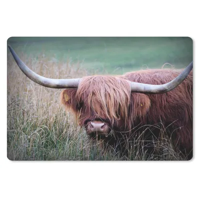 Produktbild von MuchoWow® Schreibtischunterlage Schottischer Highlander - Hörner - Gras 60x40 cm - XXL Mauspad - Großes Mauspad