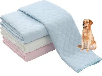 Produktbild von Waschbare, wiederverwendbare Pipi-Pads für Hunde | 2er-Pack Blau, Pink | 100 % wasserdicht und besonders saugfähig | Große, rutschfeste Welpenunterlagen | Haustiertraining und Stubenreinheit | Lösung bei Inkontinenz und Welpengeburten