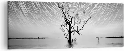 Produktbild von Bild auf Leinwand - Leinwandbild - Einteilig - Schwarzweiß Baum See - 140x50cm - Wand Bild - Wanddeko - Wandbilder - Leinwanddruck - Bilder - Wanddekoration - Leinwand bilder - AB140x50-4253