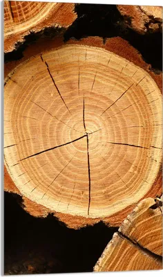 Produktbild von Herdabdeckplatte 30x52 Glaskeramikkochfeld Abdeckung Spritzschutz Glasplatte Deko Schneidebrett, Holz Braun