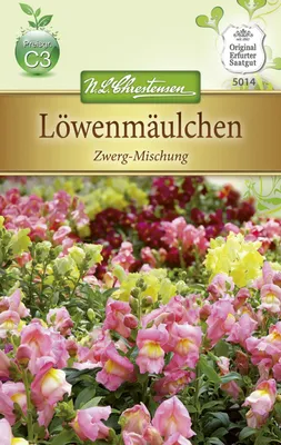 Produktbild von Löwenmäulchen Zwerg - Mischung  | Löwenmaulsamen von N.L. Chrestensen