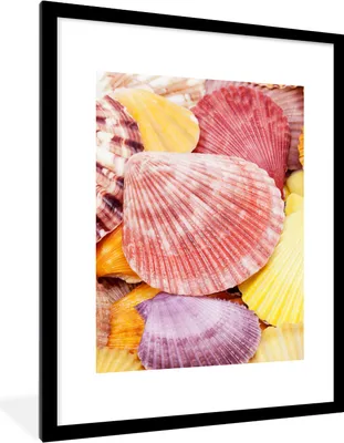 Produktbild von MuchoWow® Gerahmtes Poster Muscheln - Rot - Gelb - Strand - Sommer 60x80 cm - Poster mit Schwarzem Bilderrahmen Wandposter Rahmen Foto Bilder - Wohnzimmer - Dekorationen - Prämie