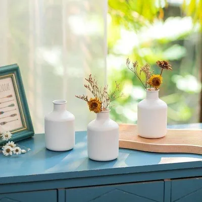 Image de Lot de petits vases pour fleurs séchées et décoration, blanc, mini