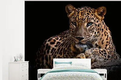Produktbild von Wildtier-Wandbild Schwarz Panther Porträt Breitformat 325 cm x 260 cm