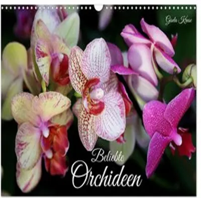 Produktbild von Beliebte Orchideen (Wandkalender 2026 DIN A3 quer), CALVENDO Monatskalender