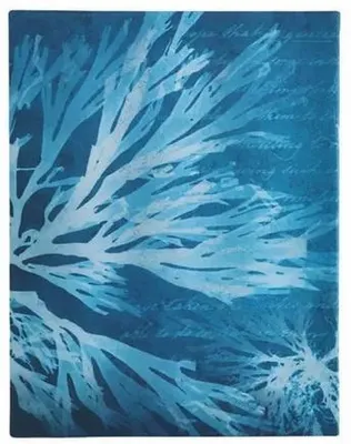 Productafbeelding van Sea Flowers (Anna Atkins' Cyanotypes) Mini Lined Softcover Journal (Elastic Band Closure)