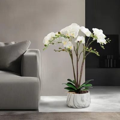 Produktbild von Künstliche Pflanze - Heimdekoration - Orchidee - weiß - 58 cm 1 Stück [11900B], KI-generiertes Bild