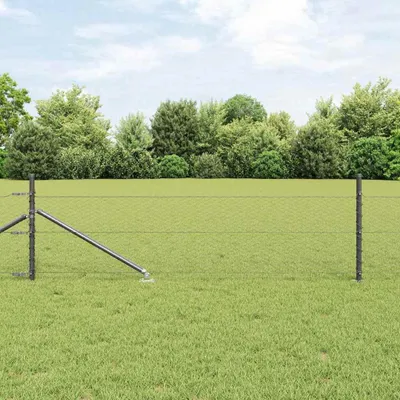 Obrázek produktu pro Svařované drátěné ploty s hroty 10 x 0,8 m (Š x V)