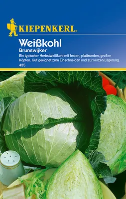 Produktbild von Kiepenkerl Weißkohlsamen Brunswijker