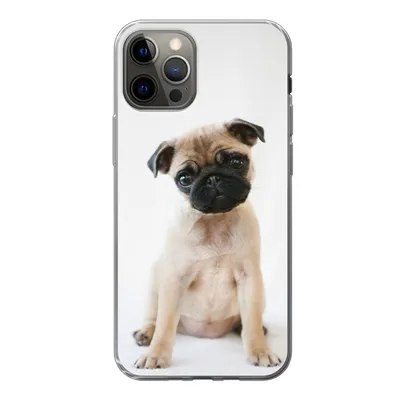 Produktbild von MuchoWow® Handyhülle Schutzhülle Hülle für iPhone 12 Pro Hund - Haustiere - Porträt Silikon Softcase Handy Hülle - Abdeckung