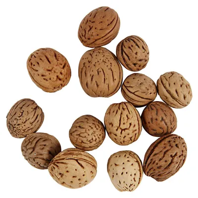 Immagine prodotto di Creativ Company Nuts, 25 grammi