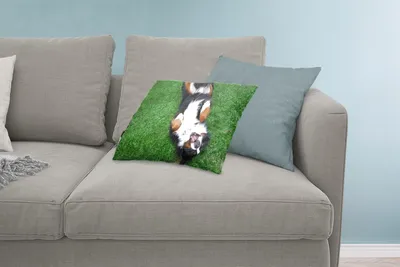 Produktbild von MuchoWow® Zierkissen Sofakissen Wohnzimmer Dekokissen 60x40 cm Berner Sennenhund im Gras liegend - Kopfkissen - Polster mit Foto