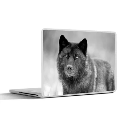 Produktbild von MuchoWow® Laptop Aufkleber Sticker Cover Wolf - Nahaufnahme - Schwarz - Weiß 36.5x27.5 cm - Laptop-Sticker
