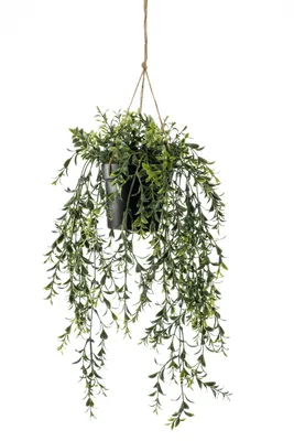 Produktbild von Emerald Kunstpflanze Buchsbaum Hängend in Topf 50 cm
