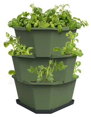 Artikelbild 1 von 'PAUL POTATO Kartoffelturm Starter Set dunkelgrün (3 Etagen)'