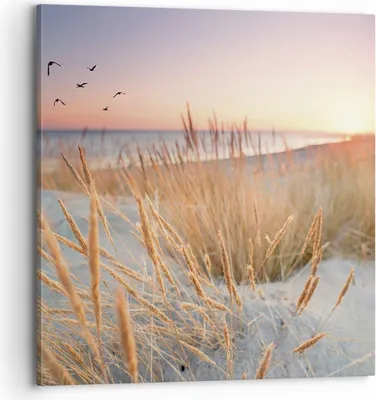 Produktbild von Bild auf Leinwand - Leinwandbild - Einteilig - Sonne Vögel Sand - 70x70cm - Wand Bild - Wanddeko - Wandbilder - Leinwanddruck - Bilder - Wanddekoration - Leinwand bilder - Wandbild - AC70x70-4810