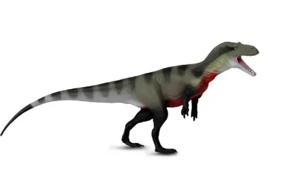 Image de Safari Ltd 108202 Mégalosaure, série Dinosaures