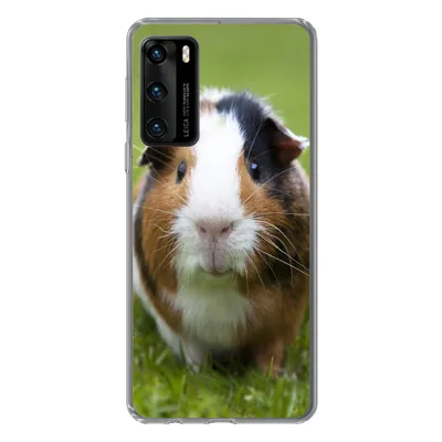 Produktbild von MuchoWow® Handyhülle Schutzhülle Hülle für Huawei P40 Zwei Meerschweinchen Silikon Softcase Handy Hülle - Handytasche