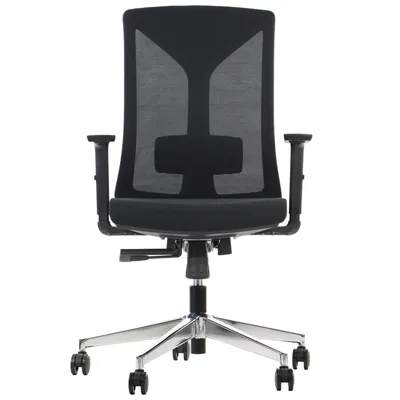 Immagine prodotto di Sedia da ufficio girevole ergonomica HAGER, base cromata, braccioli regolabili, schienale in rete, nero