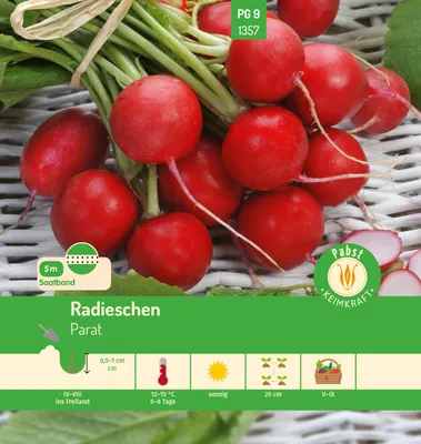 Produktbild von Pabst Keimkraft - Radieschen Saatband 5 m Parat Samen - 1761357