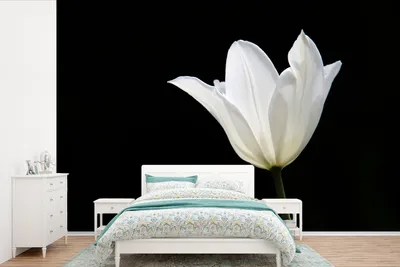 Produktbild von MuchoWow® Fototapete für Wohnzimmer oder Schlafzimmer Wandtapete Vinyl Motivtapete Weiße Tulpe - 525x350 cm - Das Hintergrundbild