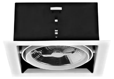 Image de Downlight IP23 à cardan simple GU10 75 W blanc