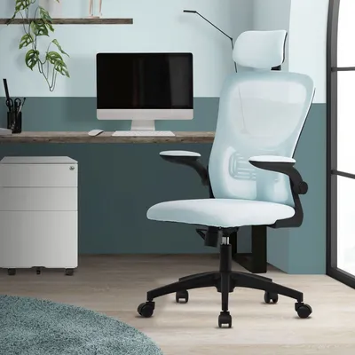 An office chair is shown in a home office setting with a desk, computer, and filing cabinet.