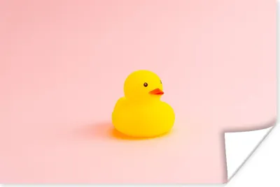 Produktbild von MuchoWow® Poster Gummi-Ente - Rosa 120x80 cm - Bilder