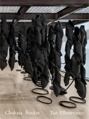 Produktbild von Chakaia Booker