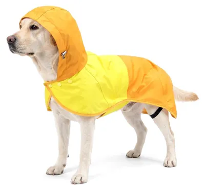 Immagine prodotto di Impermeabile per cani - Impermeabile e leggero - Taglia XXL