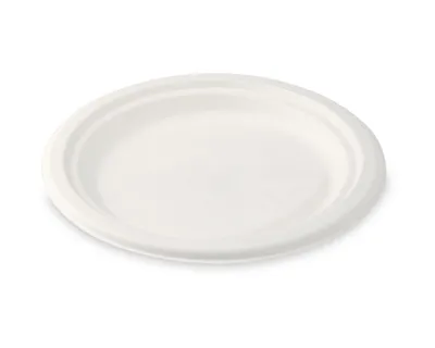 Produktbild von 100x  Desserteller Kuchenteller Salatteller rund aus Zuckerrohr Ø 17.5 cm