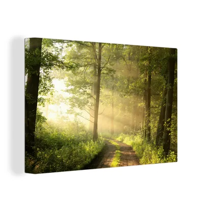 Produktbild von OneMillionCanvasses® - Leinwandbilder - 150x100 cm, Wald - Sonne - Bäume, Wandbilder Kunstdruck Wanddekoration