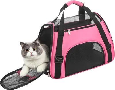 Produktbild von Atmungsaktive Hundetasche - Verstellbarer Schultergurt - Katzentransportbox - Faltbar