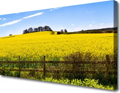 Produktbild von Tulup Leinwand-Bilder 100x50 Wandbild Canvas Kunstdruck Acker Landschaft