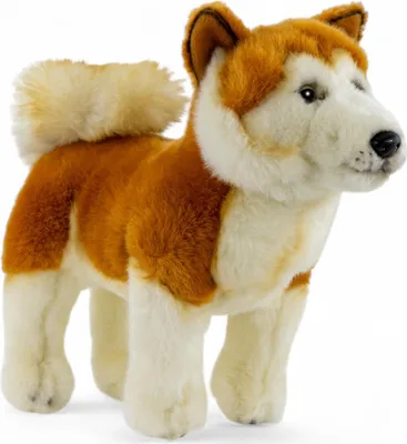 Produktbild von Carl Dick Akita Hund ca. 30cm, Plüschtier, Stofftier, Kuscheltier 3636