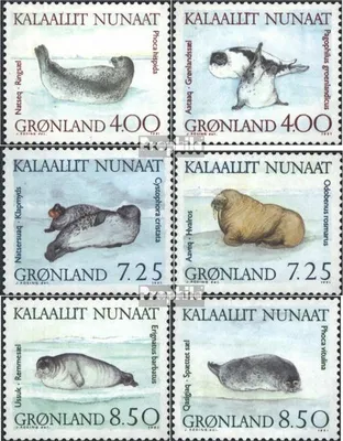 Produktbild von Briefmarken Dänemark - Grönland 1991 Mi 211-216 (kompl.Ausg.) postfrisch Robben